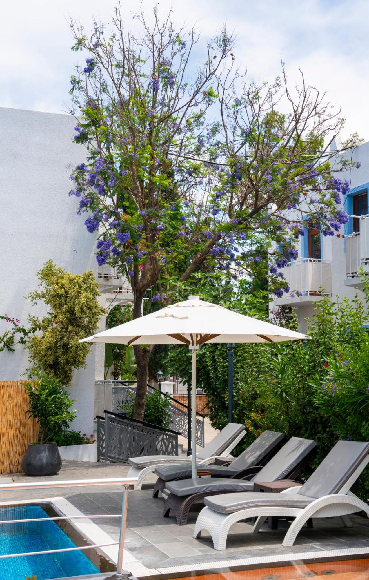 Manuela Boutique Hotel Bitez Buitenkant foto
