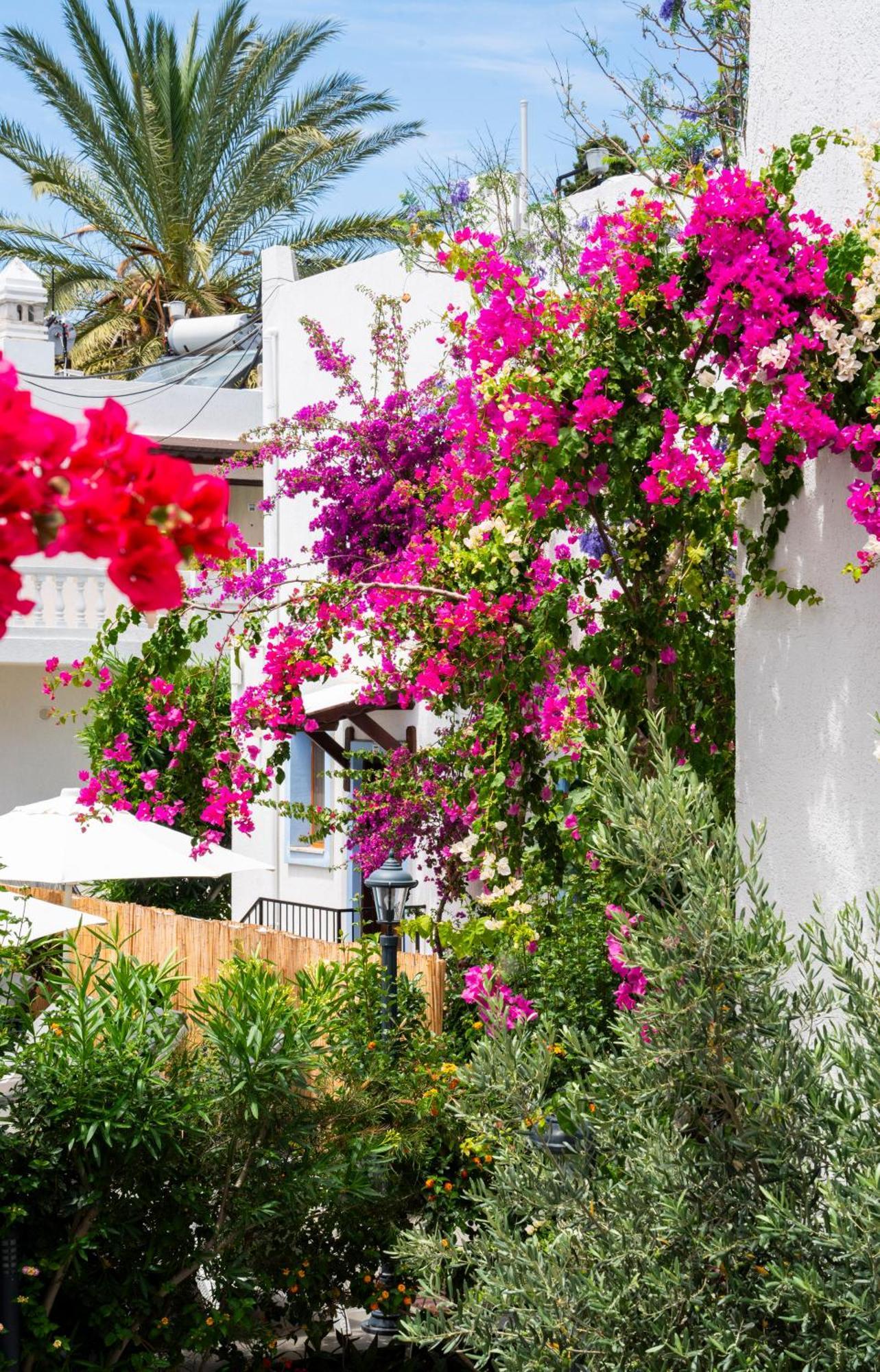 Manuela Boutique Hotel Bitez Buitenkant foto